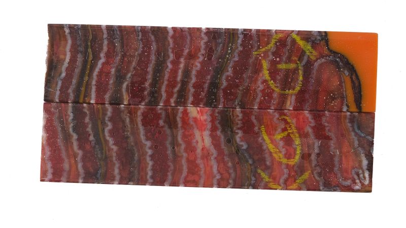 Manche de molaire de mammouth stabilisée ROUGE